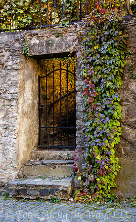 Gated Entrance and Ivy