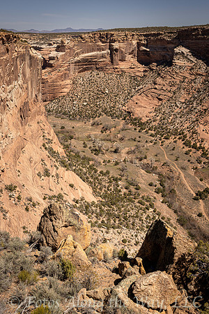 Into Canyon del Muerto (Arizona)