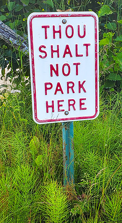 'Thou Shalt Not Park Here' Sign (Alaska)