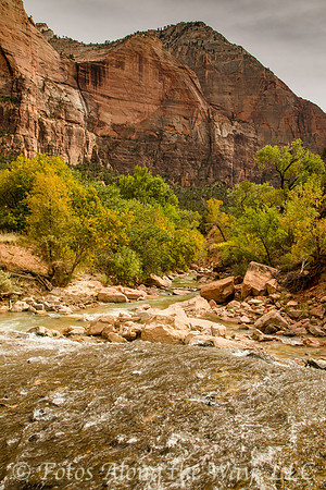 Zion NP - Virgin River Flowing (Utah)
