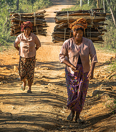 Carrying Wood to the Village (2017)