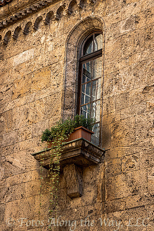 Courtyard Window with Plant