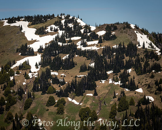 View from Hurricane Ridge (Washington)