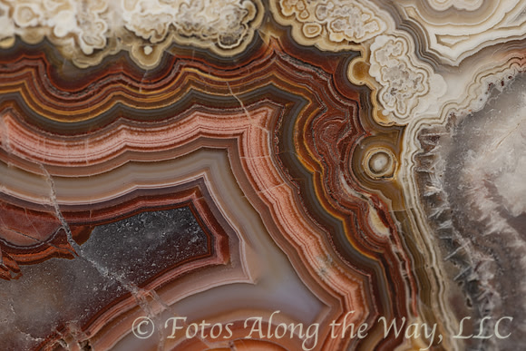 Cinnamon and White Geode Closeup