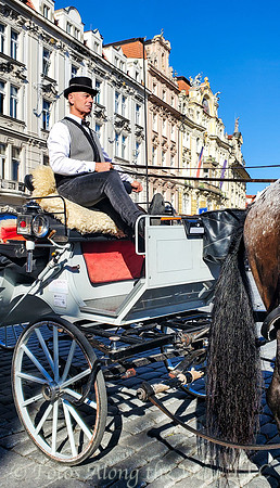 Prague Coach Driver (2024)