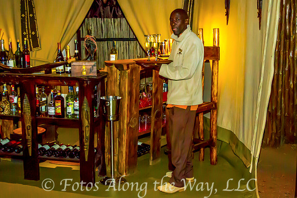Bartender at Mara Bush Camp (Kenya)