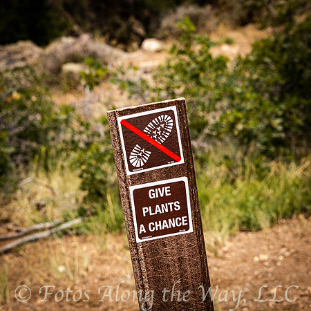Give Plants a Chance Sign (Colorado)