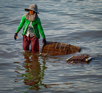 Woman Bringing in the Crab Traps (2014)