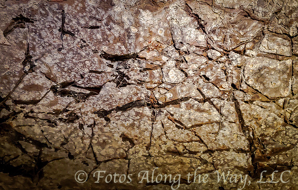 Pattern on Cave Wall (South Dakota)
