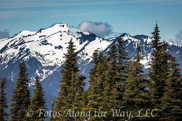 Snow-capped Mountains from Hurricane Ridge (Washington)