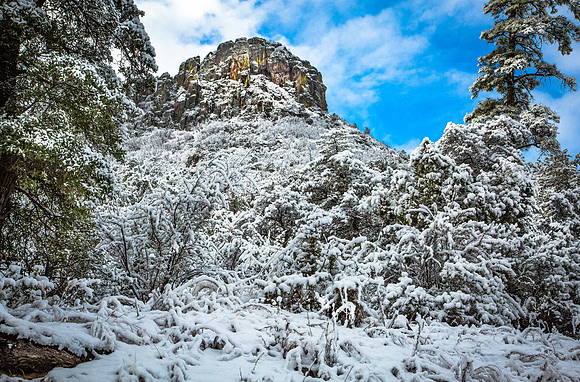 (January) Snowfall on Thumb Butte