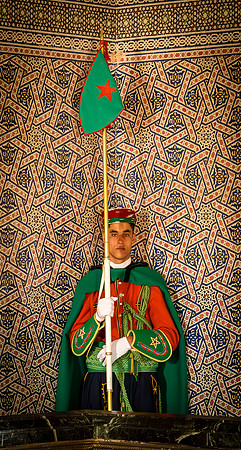 Shrine Guard on Duty (2016)
