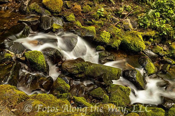 Stream over Moss-covered Rocks (Washington)