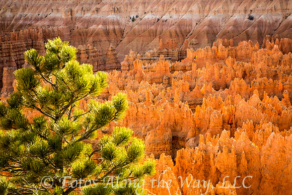 Bryce Canyon (Utah)