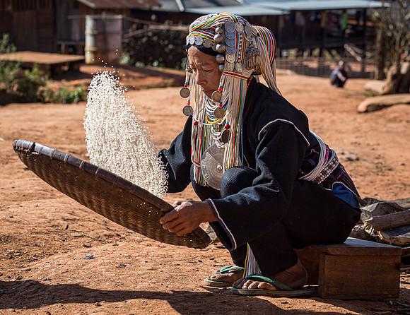Akha Tribe Woman Sorting Rice (2017)