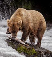 Alaska 2025