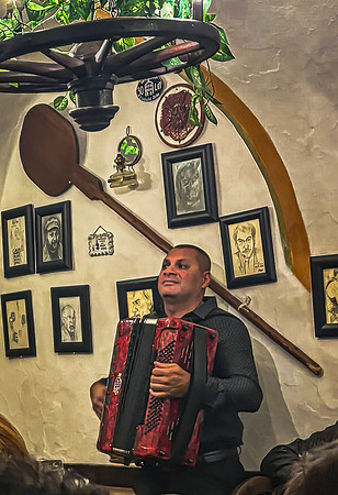 Roma Musician (2024)