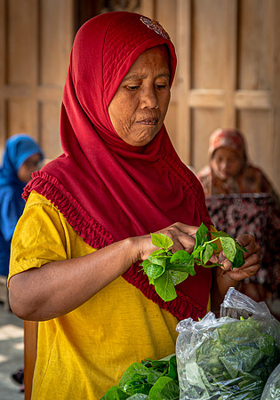 Woman with Green Plant for Batik Dye (2018)