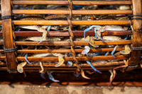 Daily Crab Catch (2014)