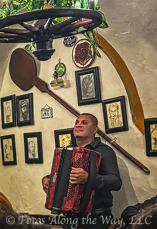 Roma Musician