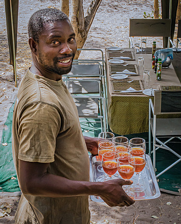 Safari Camp Server with Refreshments (2016)